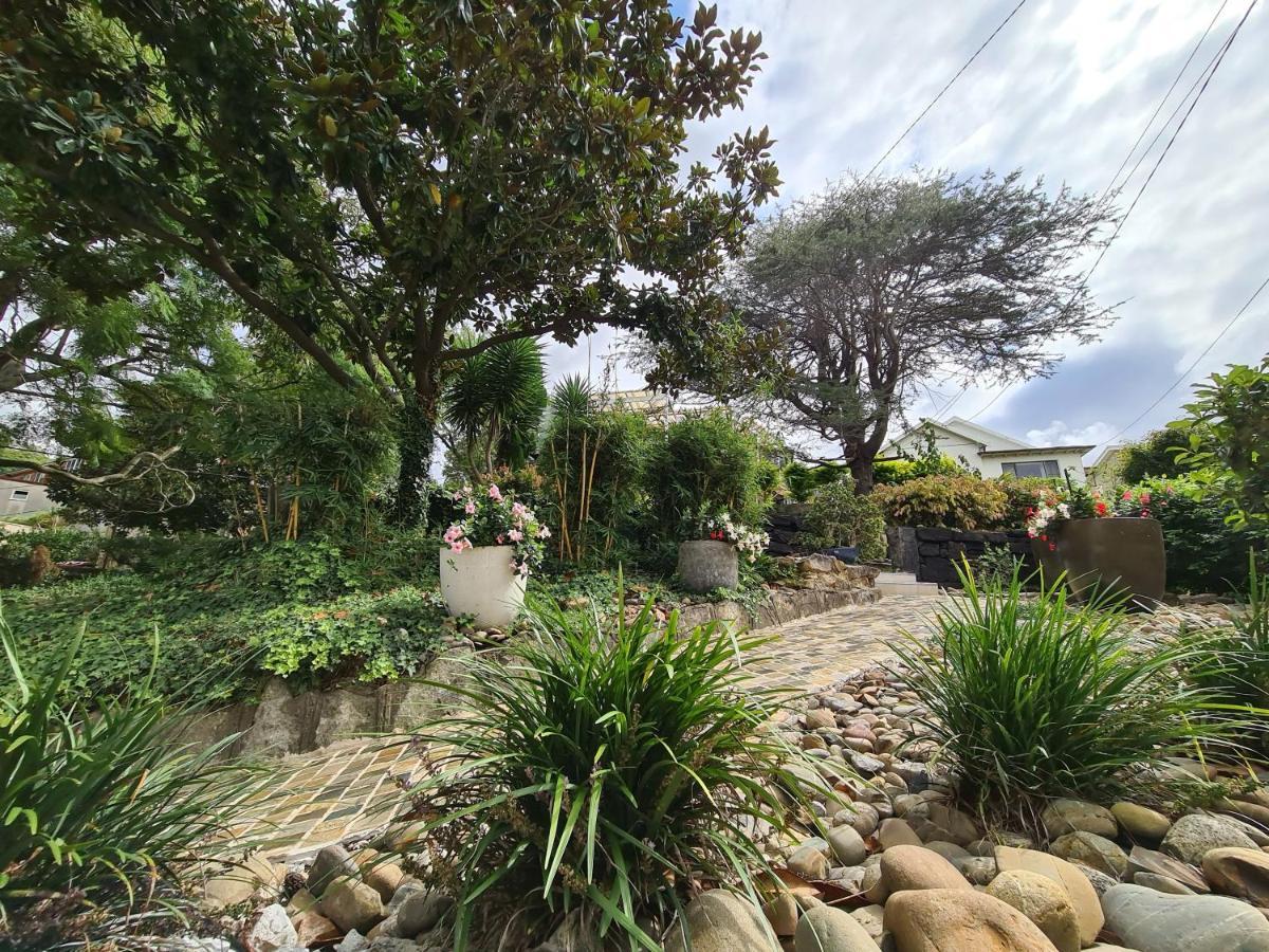 Vista Unit Close To The City & Airport & Train Station And Brighton Le Sands Beach 悉尼 外观 照片